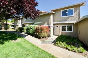 1 Oliva Dr in Novato, CA - Building Photo