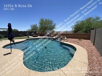 16954 N Rosa Dr in Maricopa, AZ - Building Photo - Building Photo