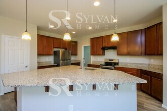 40953 W Patricia Ln in Maricopa, AZ - Building Photo - Building Photo