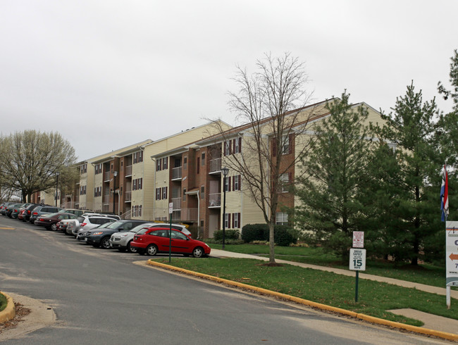 Madison Ridge Apartments in Centreville, VA - Building Photo - Building Photo