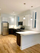 1823 W 17th St in Chicago, IL - Building Photo