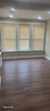 207 W Laveer St in Philadelphia, PA - Building Photo - Building Photo