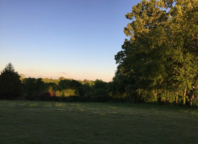 109 Stringtown Rd in Horatio, AR - Building Photo - Building Photo