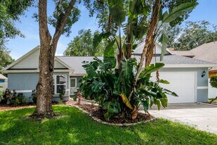 9260 Vía Segovia in New Port Richey, FL - Building Photo