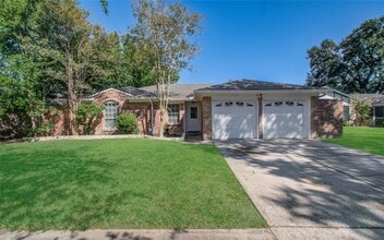 16610 Cairngorm Dr in Houston, TX - Building Photo - Building Photo