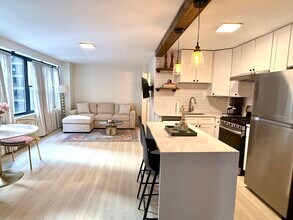 850 N Dewitt Pl in Chicago, IL - Building Photo - Building Photo