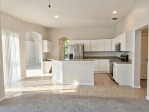 10805 Australian Pine Dr in Riverview, FL - Building Photo - Building Photo