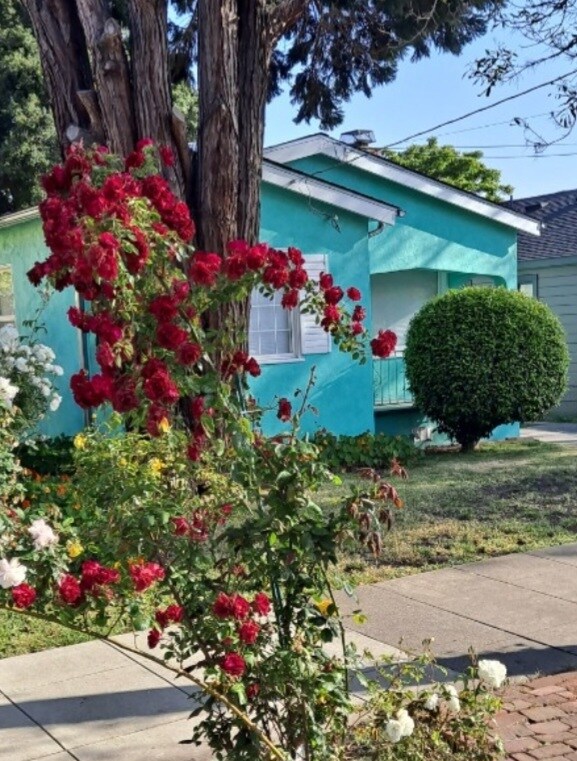 1520 Parker St Rentals in Berkeley, CA