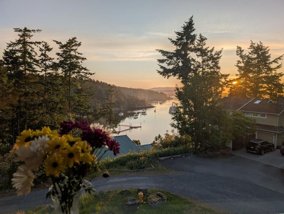 500 Jensen Alley in Friday Harbor, WA - Building Photo