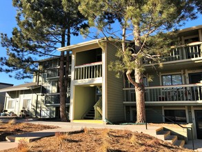 The Pines Apartments in Lakewood, CO - Building Photo - Building Photo