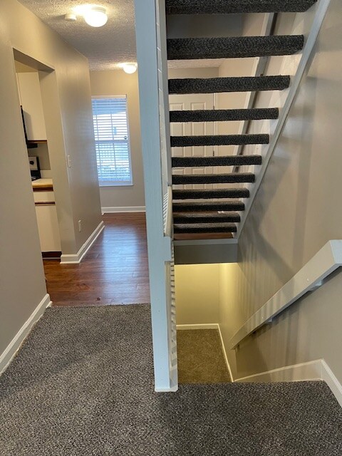 1913 Ridgebury Dr in Hilliard, OH - Foto de edificio - Building Photo