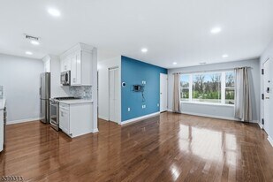 253 Park Ave in Rutherford, NJ - Building Photo