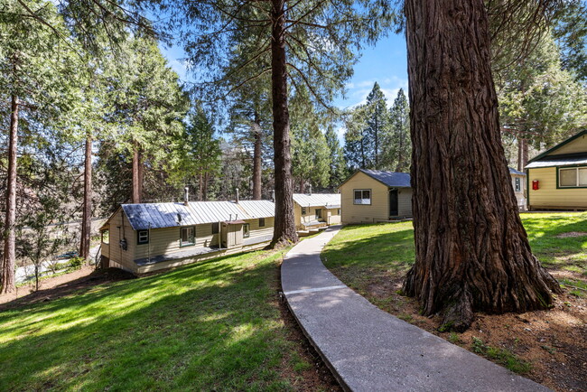 Pioneer Court in Nevada City, CA - Building Photo - Building Photo