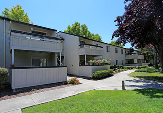 Trinity Way Apartments in Fremont, CA - Building Photo - Building Photo