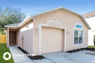 11738 Ivy Flower Loop in Riverview, FL - Building Photo
