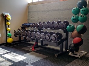 Woodard Station Lofts in Owosso, MI - Foto de edificio - Building Photo