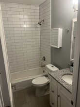 1728 W 18th Pl in Chicago, IL - Foto de edificio - Building Photo