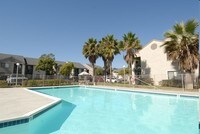 Pool - Summerbrook Apartamentos in San Diego, California