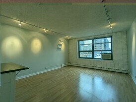 429 W Wellington Ave, Unit 13A in Chicago, IL - Building Photo