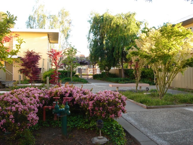 Arbordale Gardens in Fremont, CA - Building Photo - Building Photo