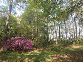 8035 NW 120th St in Reddick, FL - Foto de edificio - Building Photo