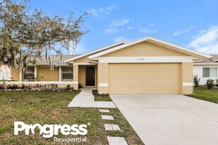21634 Wytheville Way in Lutz, FL - Building Photo