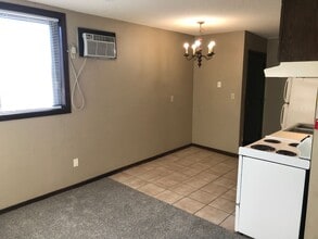 315 Hoyt Ave E in St. Paul, MN - Building Photo - Building Photo