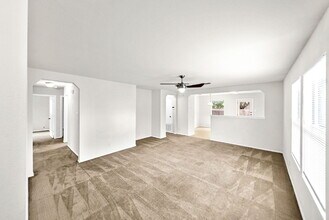 156 Texas Mulberry in San Antonio, TX - Building Photo - Building Photo