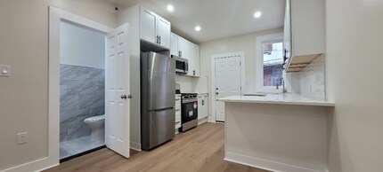1517 S Napa St in Philadelphia, PA - Building Photo - Building Photo
