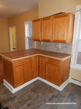 231-233 Amory St. in Boston, MA - Building Photo - Building Photo