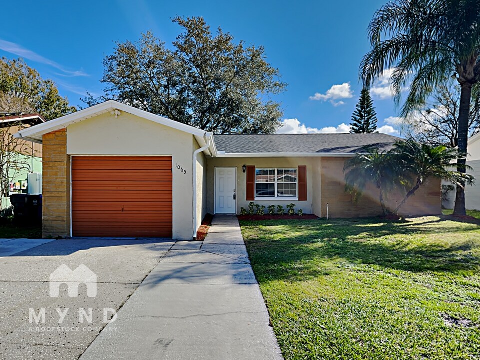 1065 Bridlewood Way in Brandon, FL - Building Photo
