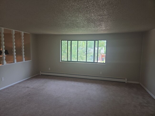 2513 Fairplay Dr in Loveland, CO - Building Photo - Building Photo