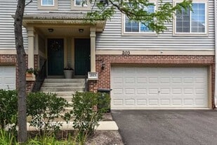 203 Monarch Dr in Streamwood, IL - Building Photo