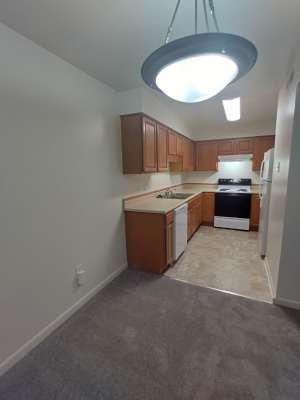 600 Reusens Rd in Lynchburg, VA - Building Photo - Building Photo