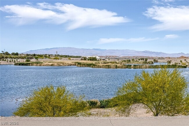 169 Fulgora St in Henderson, NV - Building Photo - Building Photo