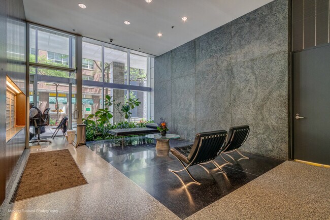 550 N St Clair St in Chicago, IL - Building Photo - Building Photo