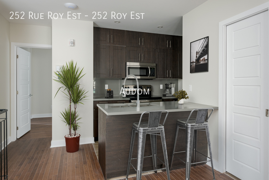 252 Rue Roy E in Montréal, QC - Building Photo