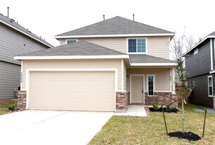 13433 Cannon Crk Ct in Willis, TX - Building Photo