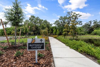 Mira at Palmer Ranch in Sarasota, FL - Building Photo - Building Photo