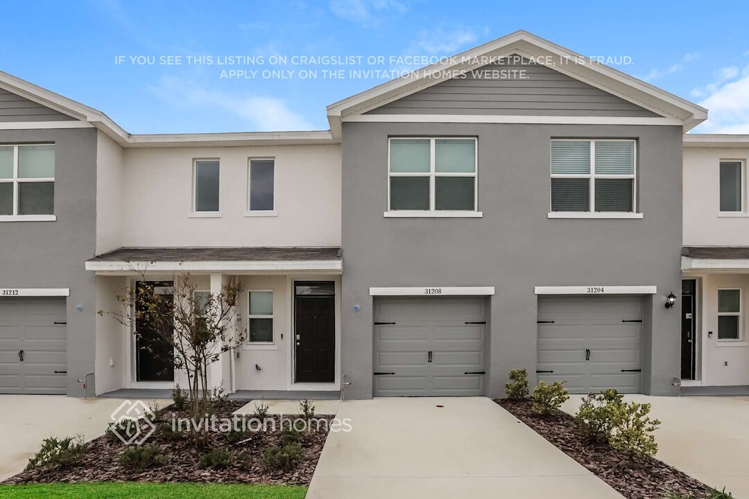 31208 Striped Maple Ln in Wesley Chapel, FL - Building Photo