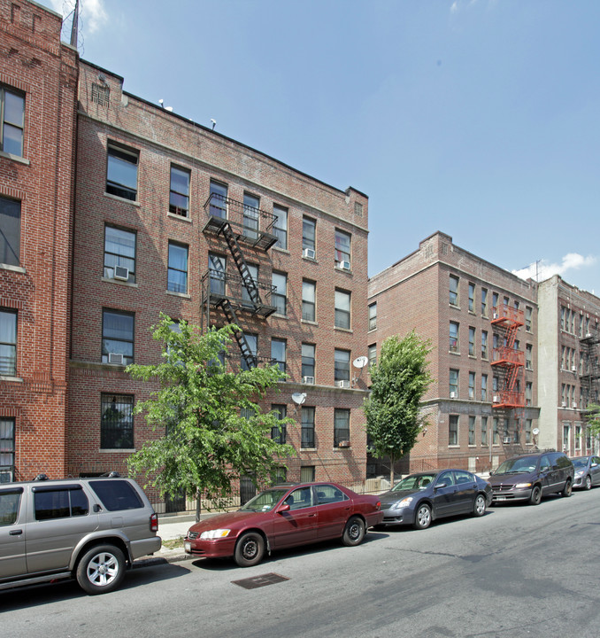 305 Martense St in Brooklyn, NY - Building Photo