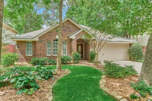 27 E Russet Grove Cir in Conroe, TX - Building Photo