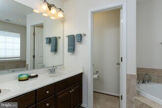 22688 Flowing Spring Square in Ashburn, VA - Building Photo - Building Photo