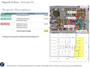 37256 Magnolia St in Newark, CA - Building Photo - Other