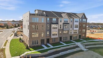 6903 Cosby Vlg Ter in Chesterfield, VA - Building Photo