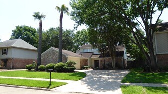 11407 Briar Rose Dr in Houston, TX - Building Photo