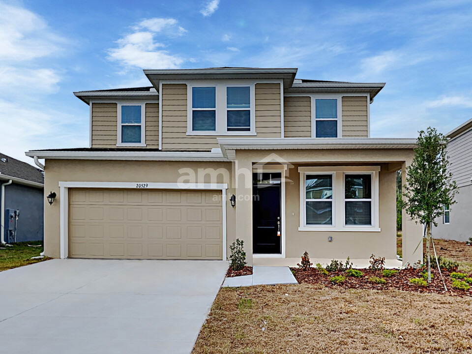 20529 Calla Lily Dr in Land O Lakes, FL - Building Photo