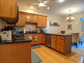 1434 Katie Ln in Palatine, IL - Building Photo - Building Photo