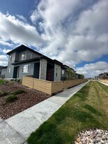 4888 Denys Dr. in Timnath, CO - Building Photo