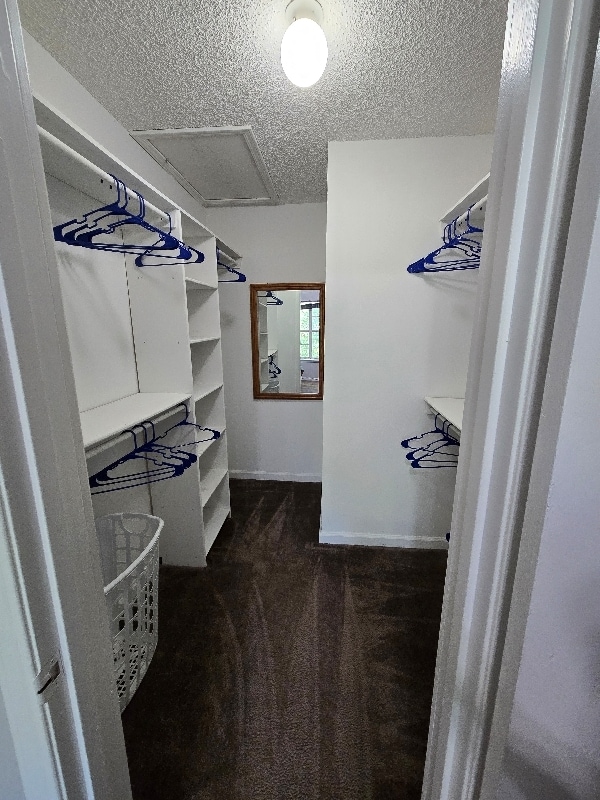 2325 Parrot Ln in Tallahassee, FL - Building Photo - Building Photo
